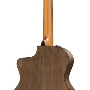 Taylor 114ce-N Nylon