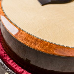 Taylor Custom GS Electro Acústica