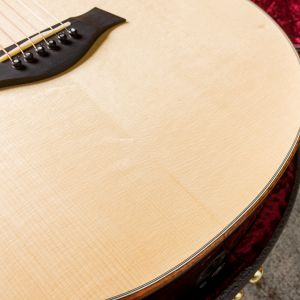 Taylor Custom GS Electro Acústica