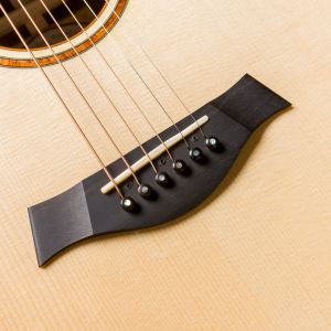 Taylor Custom GS Electro Acústica