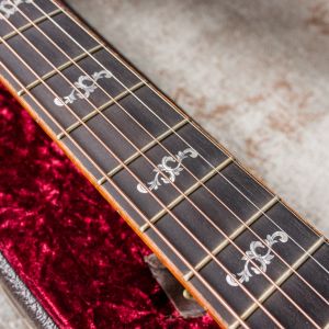 Taylor Custom GS Electro Acústica