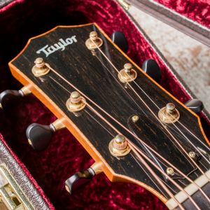 Taylor Custom GS Electro Acústica