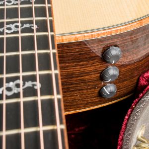 Taylor Custom GS Electro Acústica