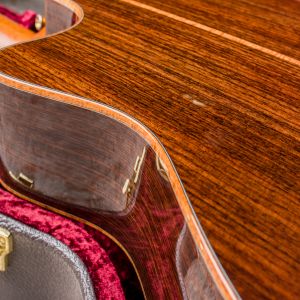 Taylor Custom GS Electro Acústica