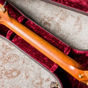 Taylor Custom GS Electro Acústica