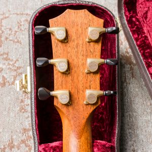 Taylor Custom GS Electro Acústica