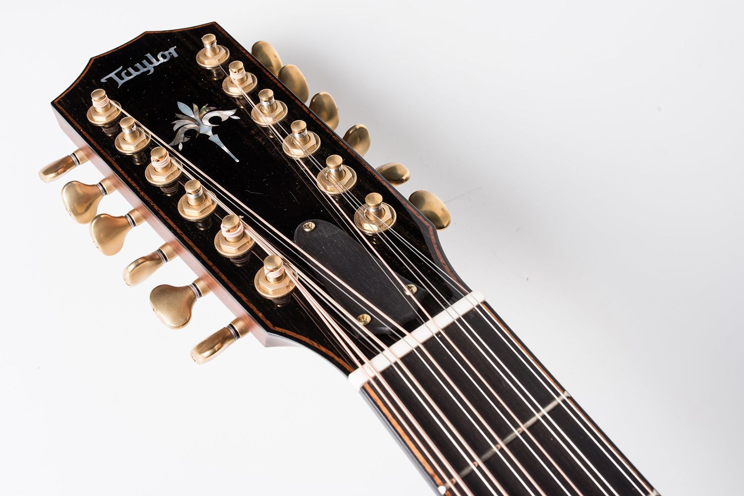 Taylor 956e 12String Electro Acoustic Guitar Fanatic Guitars