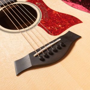 Taylor 510 B-Stock