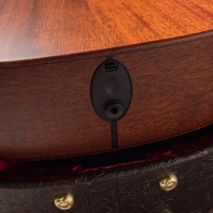 Taylor Builder's Edition 517e