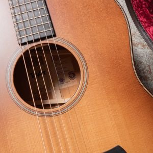 Taylor Builder's Edition 517e WHB