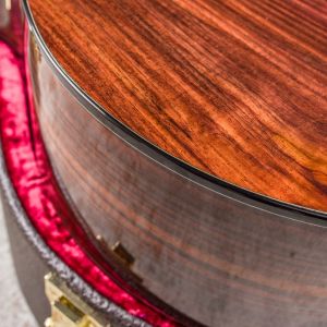 Taylor Custom Go LH Guitarra Zurda