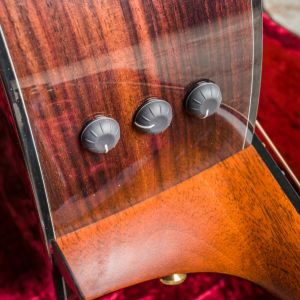 Taylor Custom Go LH Guitarra Zurda