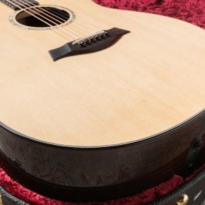 Taylor Custom GO
