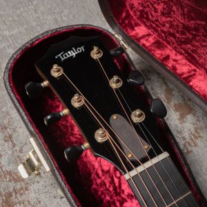 Taylor Custom GO