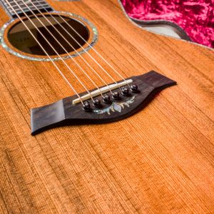 Taylor PS14ce Blackwood - Sinker Redwood