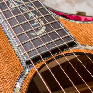 Taylor PS14ce Blackwood - Sinker Redwood