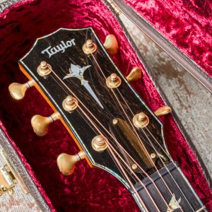 Taylor PS14ce Blackwood - Sinker Redwood