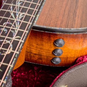 Taylor PS14ce Blackwood - Sinker Redwood