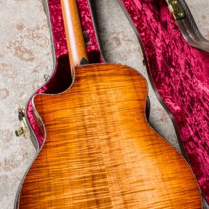 Taylor PS14ce Blackwood - Sinker Redwood