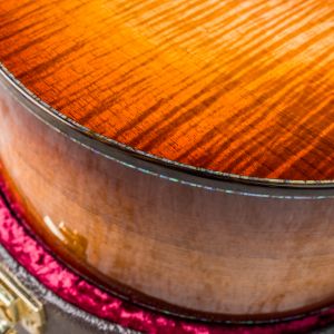 Taylor PS14ce Blackwood - Sinker Redwood