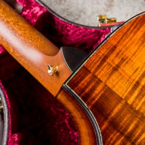 Taylor PS14ce Blackwood - Sinker Redwood