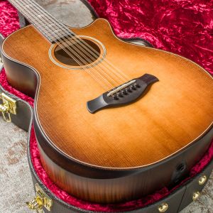 Taylor Builder's Edition 652ce WHB, V-Class