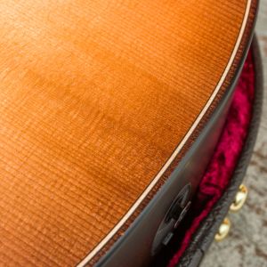 Taylor Builder's Edition 652ce WHB, V-Class