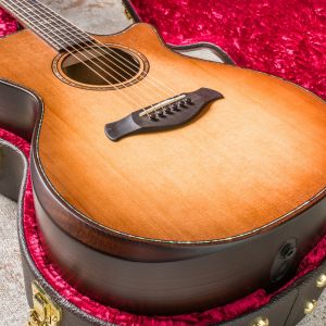 Taylor Builder's Edition 912ce WHB