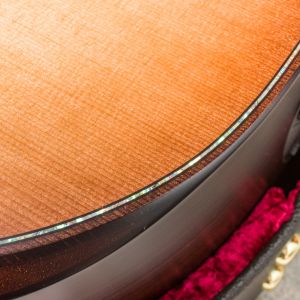 Taylor Builder's Edition 912ce WHB