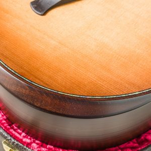 Taylor Builder's Edition 912ce WHB