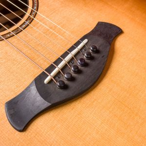 Taylor Builder's Edition 912ce WHB