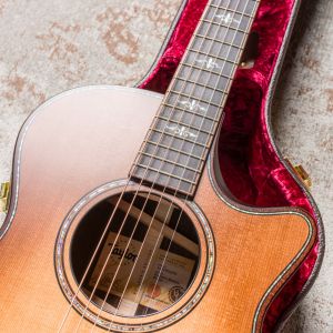 Taylor Builder's Edition 912ce WHB