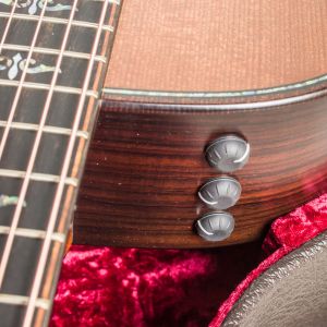 Taylor Builder's Edition 912ce WHB