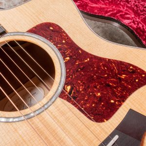 Taylor 214ce-SG LTD Fumed Sweet Gum