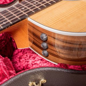 Taylor 214ce-SG LTD Fumed Sweet Gum