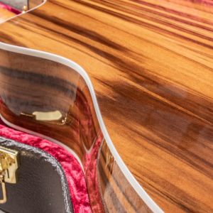 Taylor 214ce-SG LTD Fumed Sweet Gum