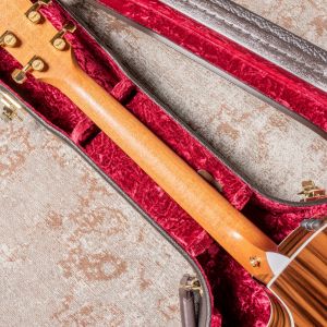 Taylor 214ce-SG LTD Fumed Sweet Gum