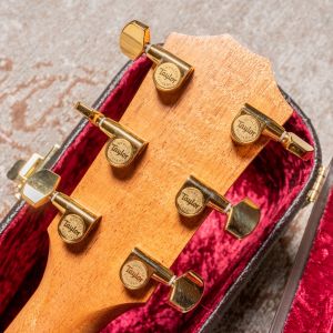 Taylor 214ce-SG LTD Fumed Sweet Gum