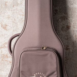 Taylor American Dream AD27e