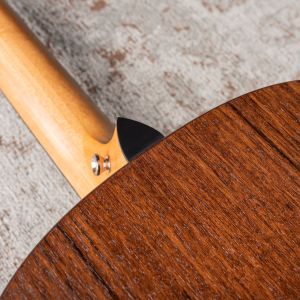 Taylor American Dream AD17e