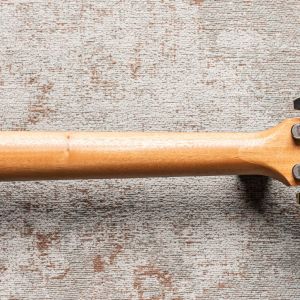 Taylor American Dream AD17e