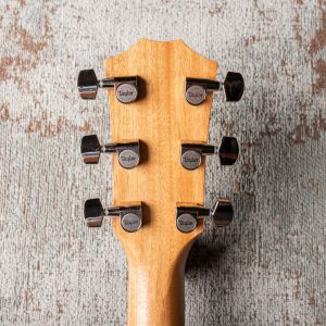 Taylor American Dream AD17e