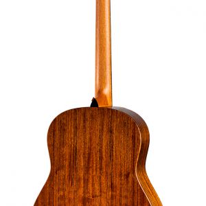 Taylor American Dream AD17