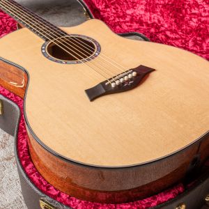 Taylor Custom Baritone 6