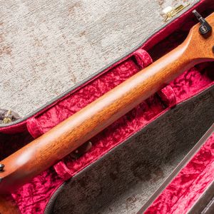 Taylor Custom Baritone 6