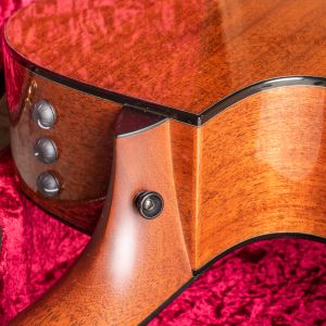 Taylor Custom Baritone 6