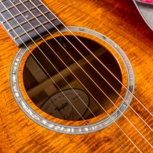 Taylor Custom TF Zurda