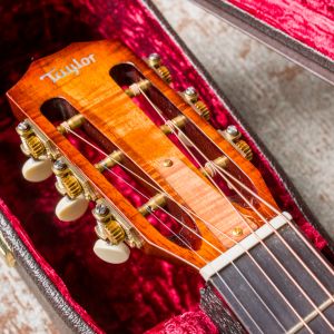 Taylor Custom TF Zurda