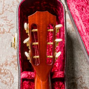 Taylor Custom TF Zurda