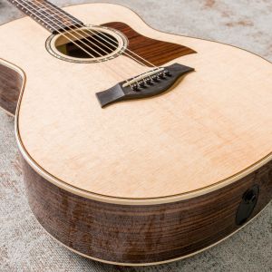 Taylor GT 811e